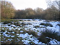 The clearing, Hearsall Common