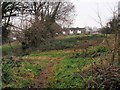 Old fields near Shiphay Manor