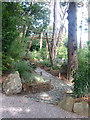 Japanese Garden at Pine Lodge, nr. St. Austell