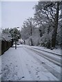 Guphill Avenue in snow