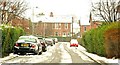 Snow, Belfast 2009 (7)