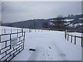 Track to Wenallt Farm, Cardiff