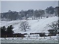ST1684 : Winter sports, Hill Farm, Thornhill, Cardiff by John Lord