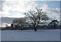 Martock Church in the distance.