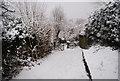 Gate on the cut through from Newlands Rd to St Michael