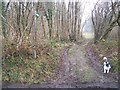 Footpath on Hazel Street Road