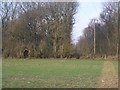 Footpaths to Stockbury Wood