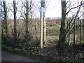 Footpath on Bicknor Lane