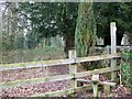 Footpath, East Woodlands