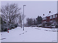 Grant Road 7.30 am 02/02/09