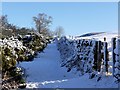 Physic Lane, Thropton