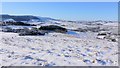 NU0402 : Snowy rough pasture above Thropton by Andrew Curtis