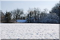 Looking across a snow covered field to a cottage on Speldhurst Rd