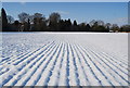 Ploughed field in the snow, South of Leggs