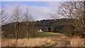 Looking up Black Down towards Blackdown Farm