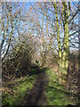 Footpath near Wheathill Farm