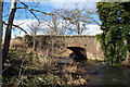 View of Bridge over Lunan Water