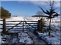 ST9502 : Shapwick: gateway to Badbury Rings by Chris Downer
