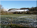 Iwerne Courtney: horse and hillsides