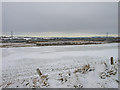 Fields near Fauldhead