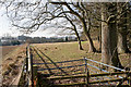 Southern edge of Lane End Copse