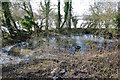 Pond at Lane End