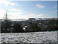 View south from Stag Hill