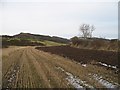 A narrow strip of stubble