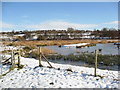 Avenue Washlands - Frozen Water