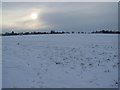Snow field