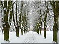 Snowy Avenue at Work