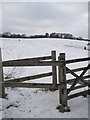 Gate onto field between The Mount and Wodeland Avenue