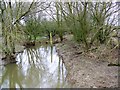 The River Cale at Five Bridges