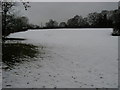 Snowy field by The Oaks