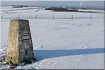 SU5382 : Trig point on Lowbury Hill by Graham Horn