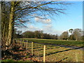 Natural Burial Ground near Cardiff