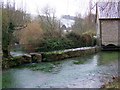 River Cerne, Godmanstone Mill