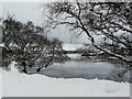 NC8409 : Loch Brora at Gordonbush by sylvia duckworth