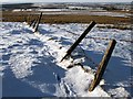 Old Fence