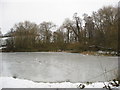 Frozen Fishing Pond