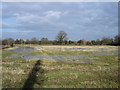 Flooded and frozen field off Humber Doucey Lane