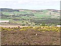 Finzean from above Bogmore