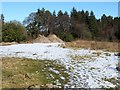 NS3977 : Former site of walled garden of Strathleven House by Lairich Rig