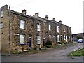 Fern Terrace - Arthur Street