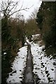 Footpath through the gardens