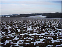 TL6454 : Snowy farmland by Hugh Venables