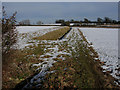 TL6656 : Snowy farmland by Hugh Venables