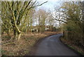 Buston Farm Cottages in the trees, Lughorse Lane