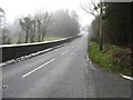 A country road near Crossgar