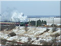 TL2180 : Steam train (60163 Tornado) by Peter Heath